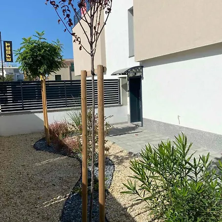 Sea Shell * 索佐波尔